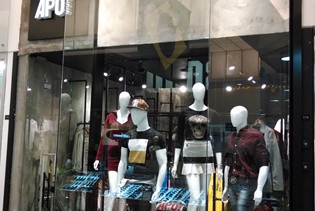 APOSSS (ARICANDUVA) (34)